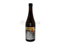 pivo Lost Angels 12° Hazy IPA