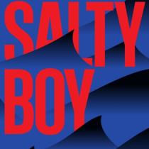 pivo Salty Boy Gose
