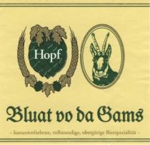 pivo Bluat Vo Da Gams