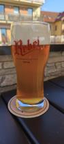 pivo Rebel Mngo