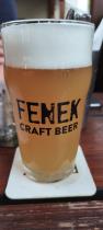 pivo Fenek Sunborn 11°