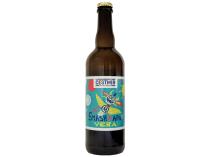 pivo Smash APA - Vera 12°