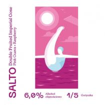 pivo SALTO Gose 18°