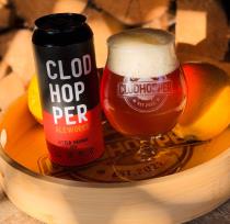 pivo Bitter Orange IPA 12°