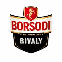 pivo Borsodi Bivaly