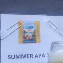 pivo Summer APA 11°