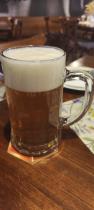 pivo Katerina 10°