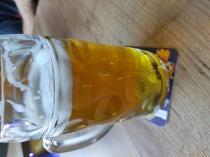 pivo Forever young