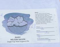 pivo Rainy Nelson Sauvin 14°