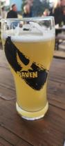 pivo Raven Birthday (2026) Session APA 9°