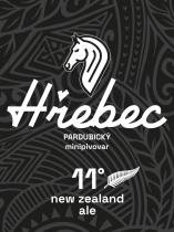 pivo New Zealand Ale 11°