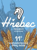 pivo Svatováclavský žitný ležák 11°