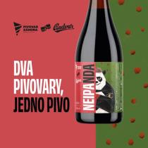 pivo NEIPANDA 11°