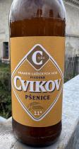 pivo Pšenice 11°