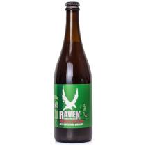 pivo Raven NEVER AGAIN! vol.6 15°