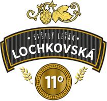pivo Lochkovská 11°