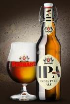 pivo Bernard IPA - India Pale Ale 14°