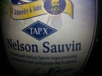 pivo Nelson Sauvin (TAPX)