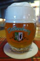 pivo Vildenberg světlý ležák 12°