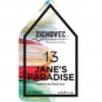 pivo Jane's Paradise 13°