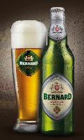 pivo Bernard Světlé pivo 10°