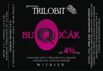 pivo BuQuičák Witbier 10°