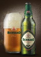 pivo Bernard Kvasnicový ležák 11°
