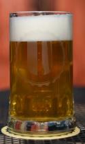 pivo Alois 8