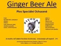 pivo Ginger Beer Ale 16°