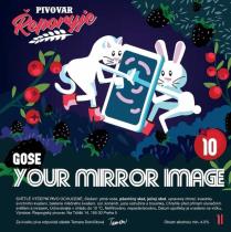 pivo Your Mirror Image 10°