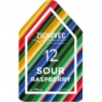 pivo Sour Raspberry 12°