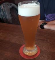 pivo Witbier 15°