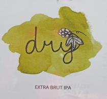 pivo Dry 13°