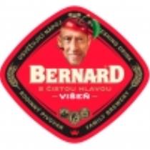 pivo Bernard s čistou hlavou Višeň