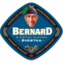 pivo Bernard s čistou hlavou Švestka
