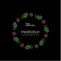 pivo Meditation (2017) 14°