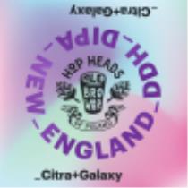 pivo New England DDH DIPA Citra + Galaxy 20°