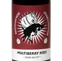 pivo Multiberry Kozi Sour ALE 10°