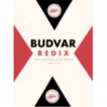 pivo Budvar Redix 10°