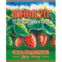 pivo Marilyn - Strawberry Field 13°