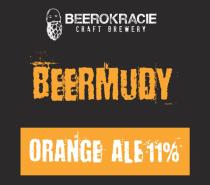 pivo Beermudy - Orange Ale 11°