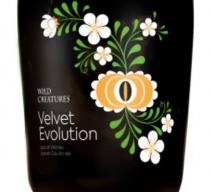 pivo Velvet Evolution (2020)