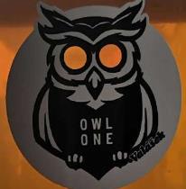 pivo Valášek OWL ONE - IPL 10°