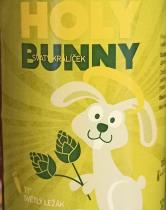 pivo Holy Bunny za studena chmelený - světlý ležák 11°