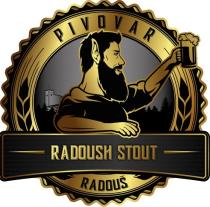 pivo Radoush Stout 12°