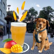 pivo Mango Dog - Sour Ale 11°