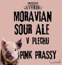 pivo Moravian Sour Ale Růžový Hrozen 11°