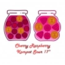 pivo Cherry-Raspberry Kompot Sour 17°