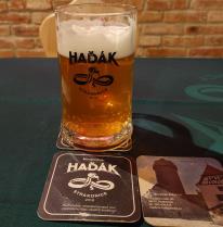 pivo Haďák 11°