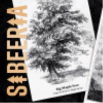 pivo Sibeeria Big Maple Tree 30°